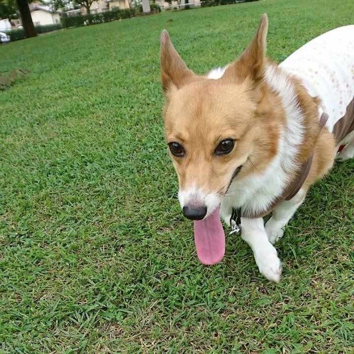 53adb0c2 5ac9 4358 aadc 612f16137cda