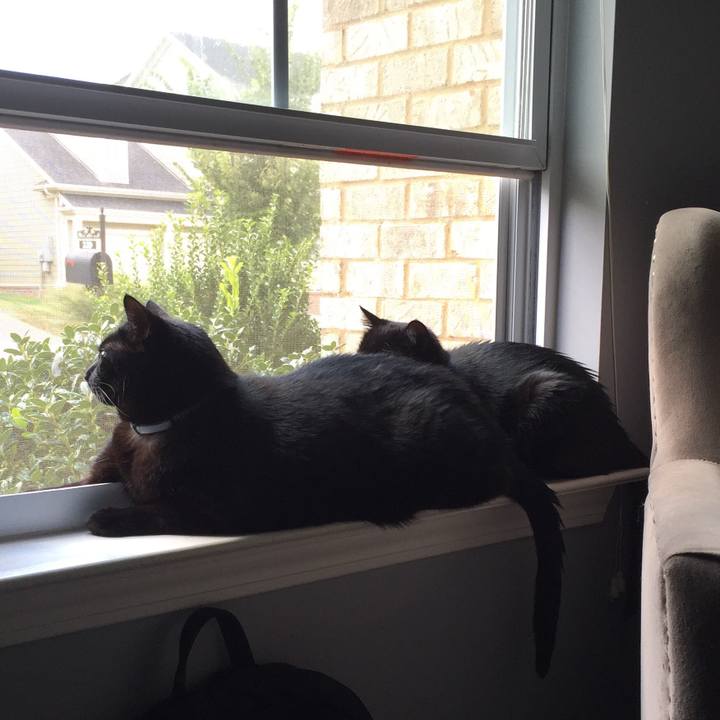 53adb65f 1c33 4c2a b79e a32facb0606f