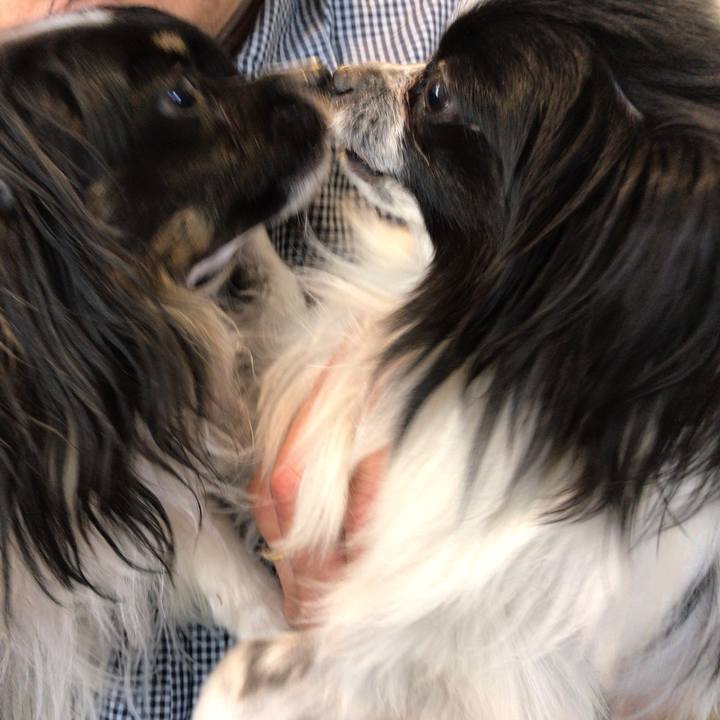 53ae3f02 29cc 4b1e 8d4f 875e4d9537ae