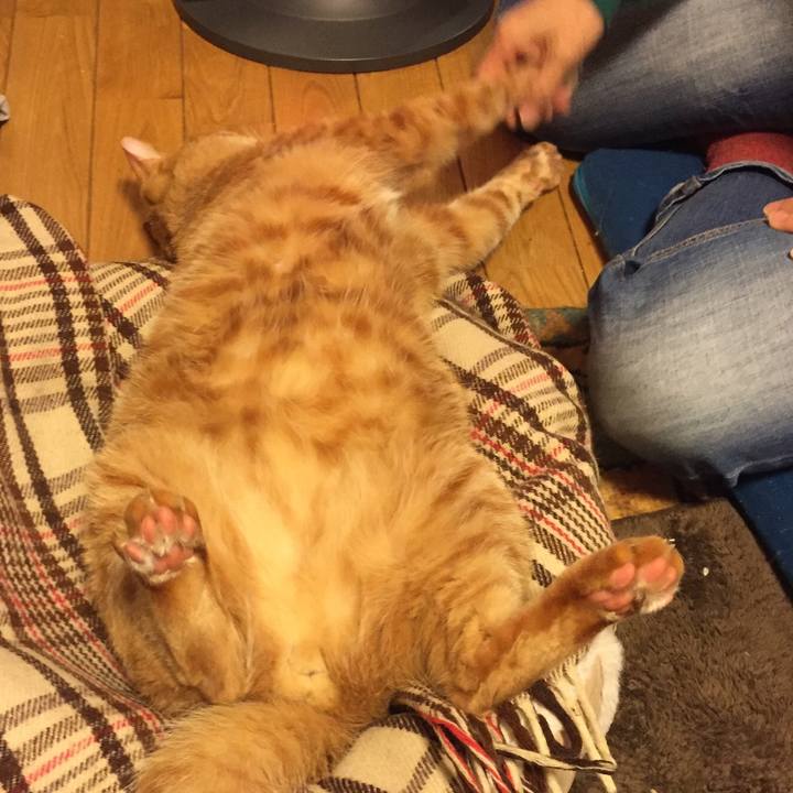 53af00e3 f835 40c3 ac08 e6505d25ce00