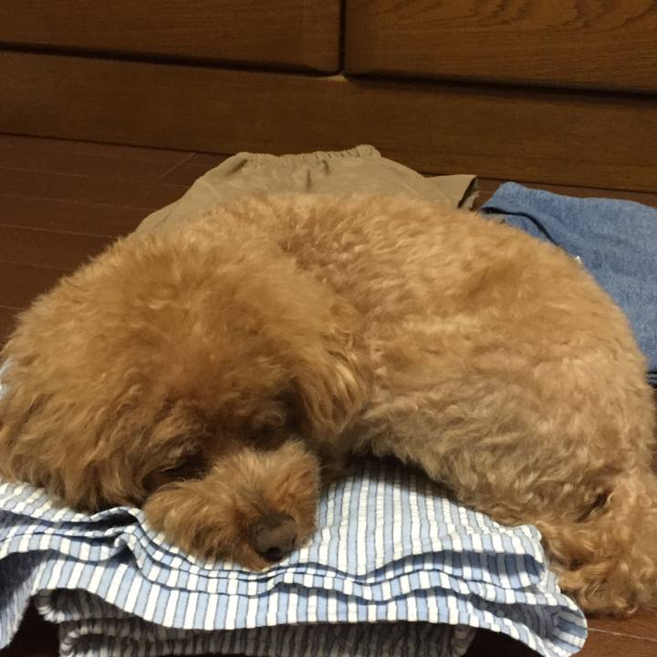 53af13eb 59a2 48a8 bdf4 52be8923c994