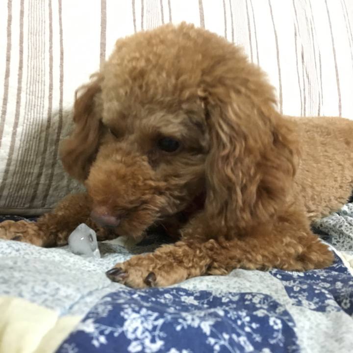 53af35d6 6946 4ec8 bd5a ab5c698e62a1