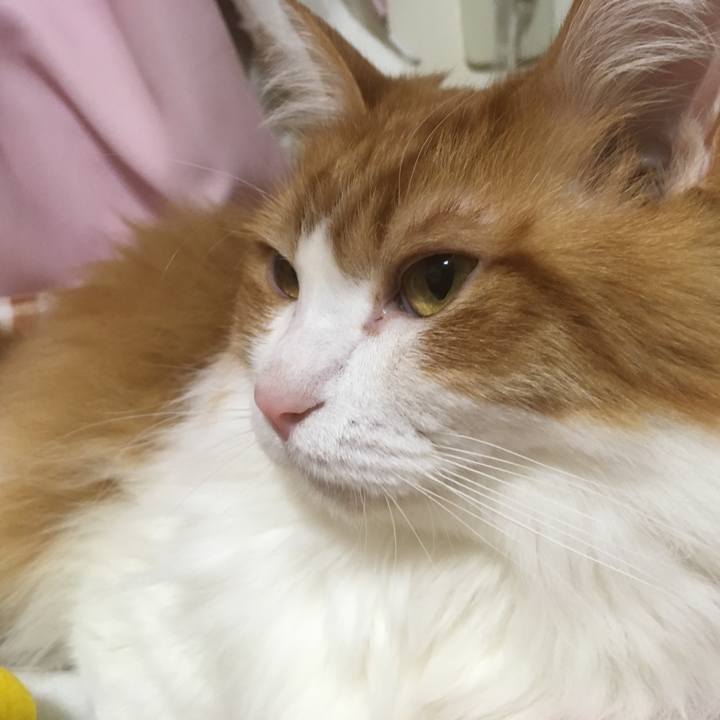 53afc985 8ef2 4440 9e98 160b647563bd