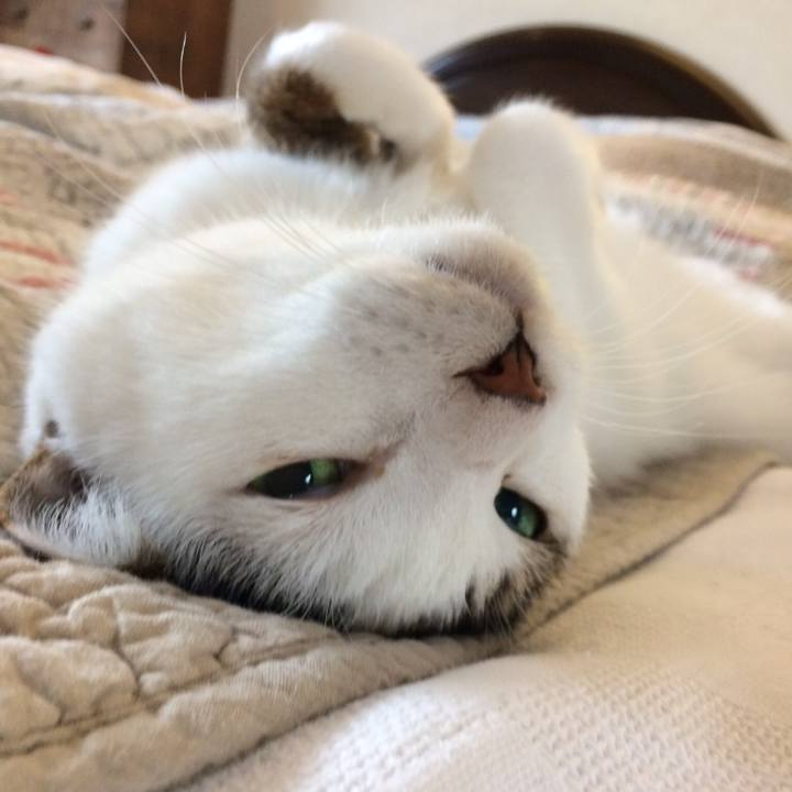 53b0b61b f526 4cf7 862e 03ca90410d74