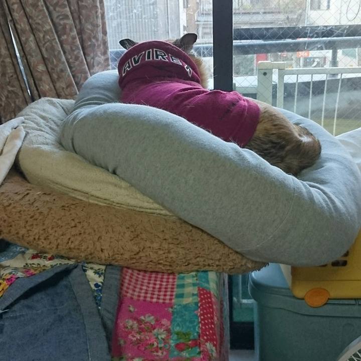 53b0dfbc 9626 4a0c b8d5 655d8c60b77a