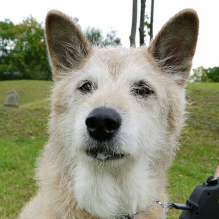 53b0e876 9afb 4143 95e5 750ed51e7abc