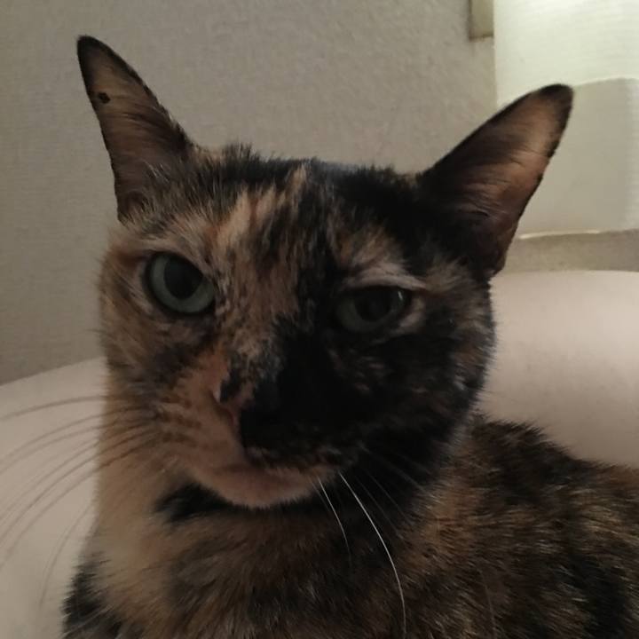 53b1a0bb 025c 4e41 ad94 f492539212c0