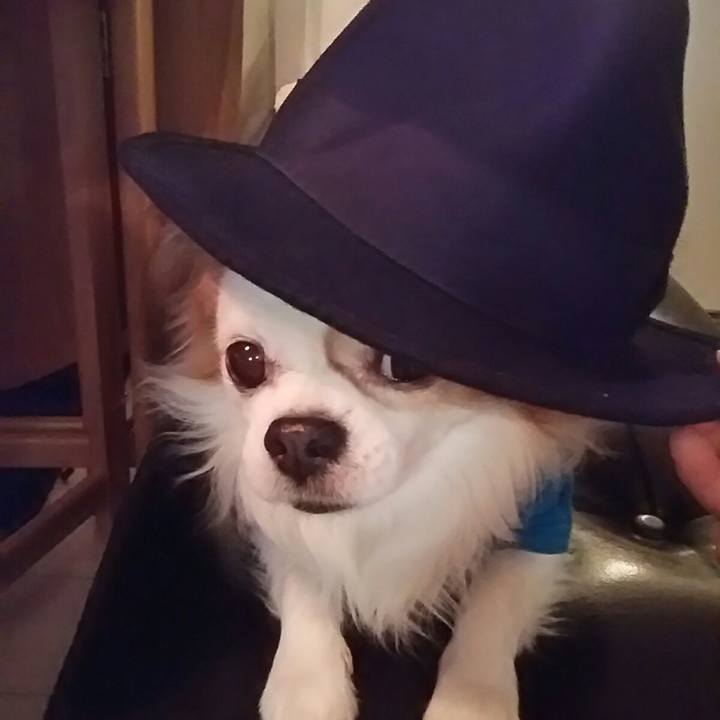 53b26be4 caa8 4597 89a9 59c5daea7c99