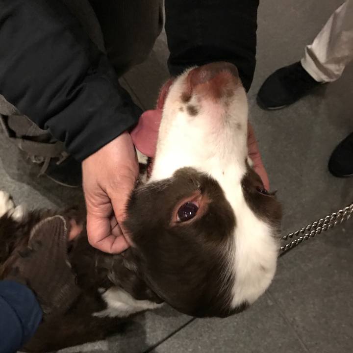 53b2861e d1a5 4690 b219 2c00a5c1797a