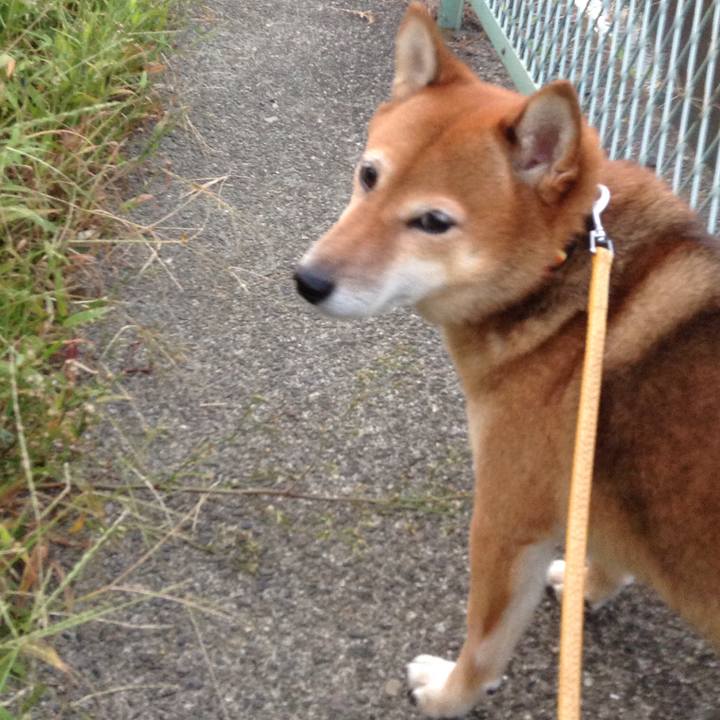 53b318f2 1cae 4a7d 9a39 37aa61dc6b4d