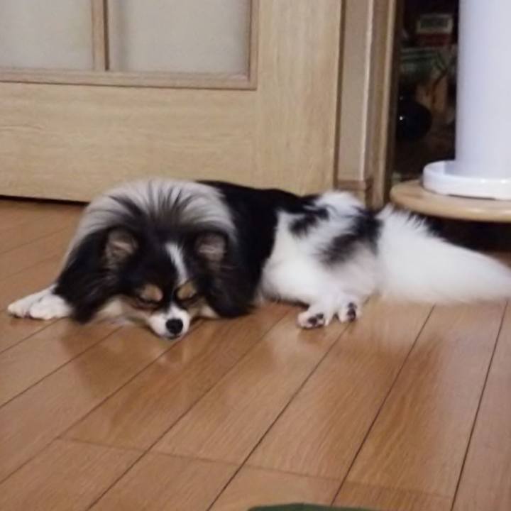 53b34599 2cff 46d7 a88e 7ed39904628b