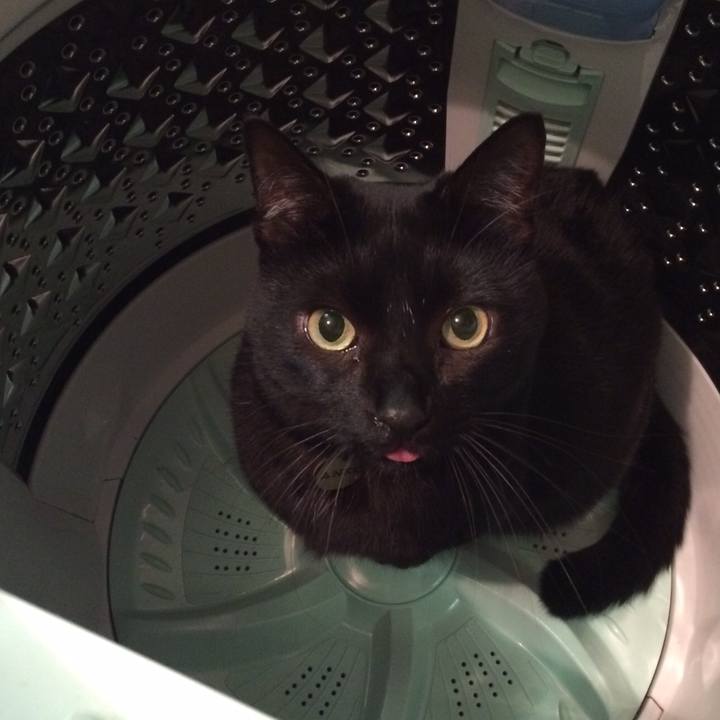 53b3492f 6781 4fc9 8c95 f9b09b7ba150