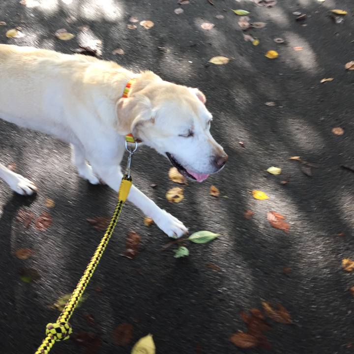 53b39ce7 6f08 4828 a24c 6d4ed7d607ed