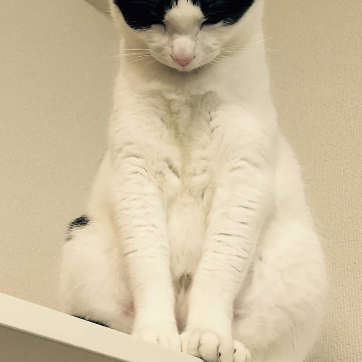 53b3c8d7 300a 42b8 87ea b7d6eb818960