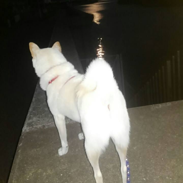 53b43761 511b 4afa ae72 70dea84a2399