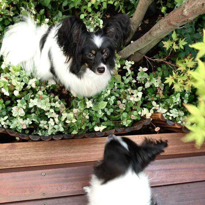 53b447bb d4fd 4579 8acc ed860170ebaa