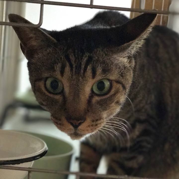 53b46c41 6976 492c ac1e 7499d085212f