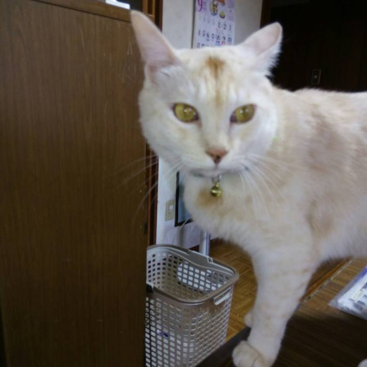 53b485d9 bffb 48f4 b107 28cbd6d101bb