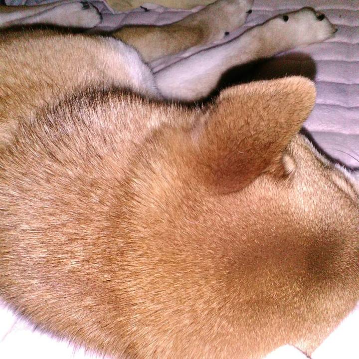 53b4e9e3 222d 4f6e a0ff 04112896bcf4