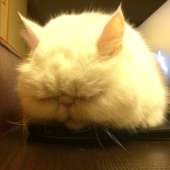 53b50d8f a198 4131 a03b fdc6280eb939