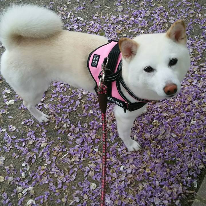 53b590c3 f8bd 4a50 8600 aeadbf301f8e