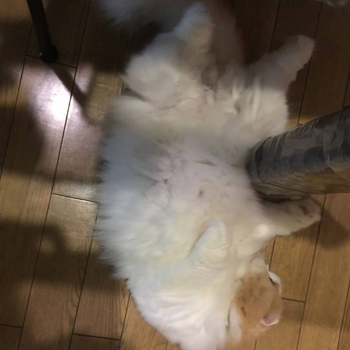 53b770a6 6a03 42e0 9b1a e26cc61567e7