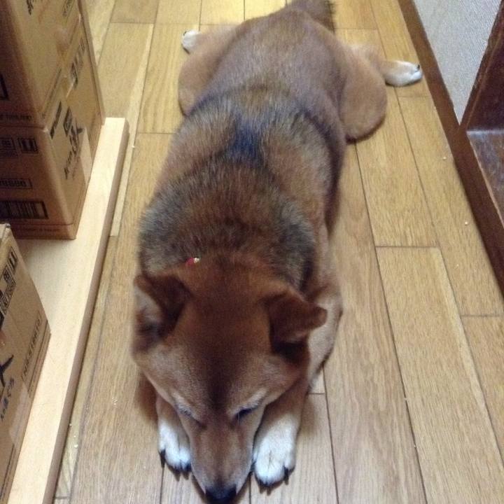 53b7a7d7 a8a3 4a82 a68f e5599ff904f5