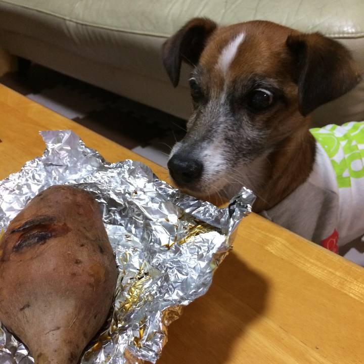 53b7bd0a cf7a 4c8f bb09 a6f98ffcb978