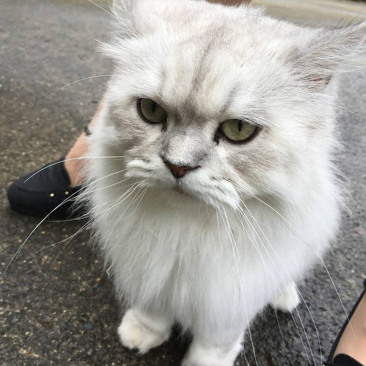 53b7c562 537e 47a1 b036 2a39a902d021