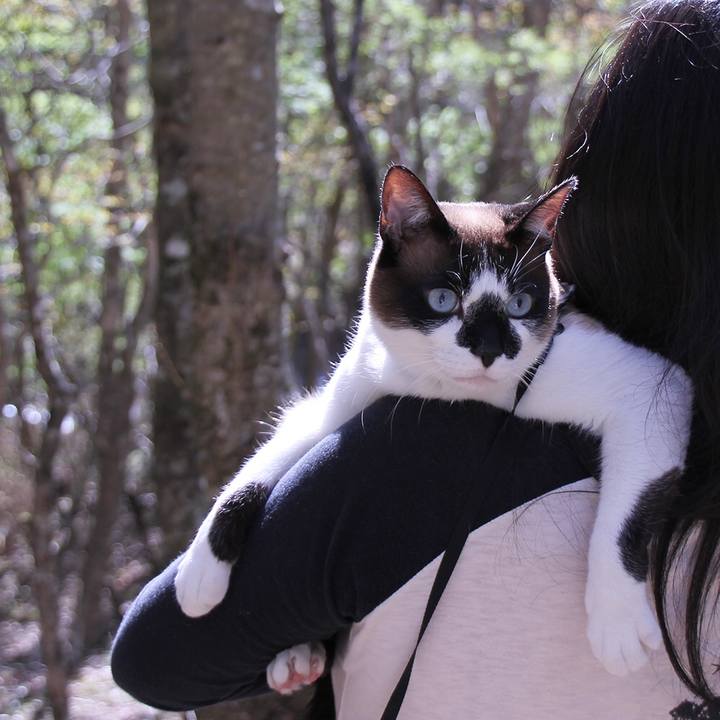 53b7e2c1 d87d 4a6f 90a3 3c844b4cf488