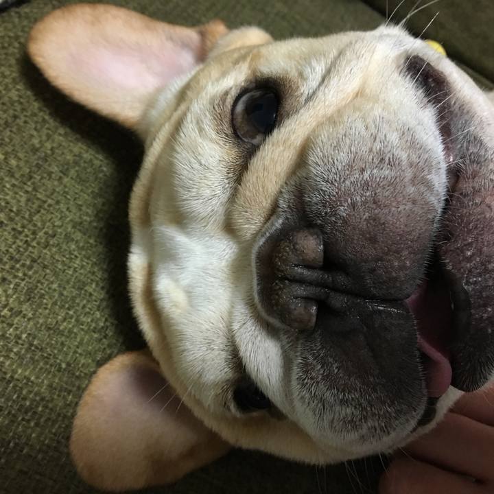 53b7e6a9 30ac 4b4e b95b 71c6511550cc