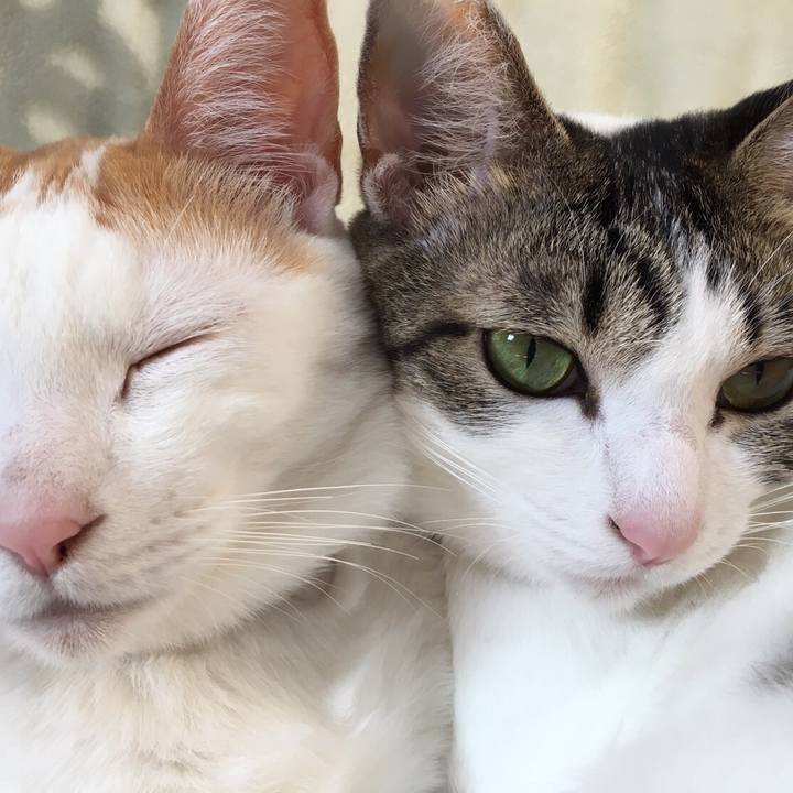 53b7eb45 7a67 49d8 abfe c4e13e745366