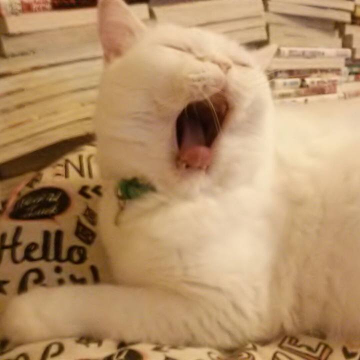 53b977c8 69e1 4db6 9e90 3ad4f44ce719