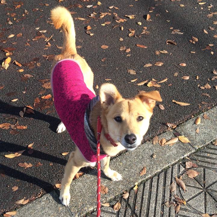 53b9e866 b104 4852 a0c9 c16233076aae