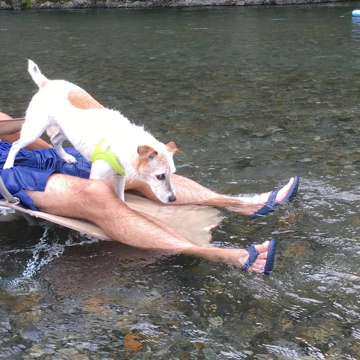 53ba7639 4386 452d b1b1 b4580e131f4c