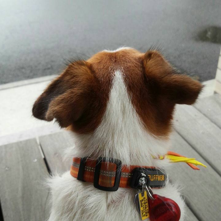 53bace3e 642a 4b2c 9619 a745b683b7c5