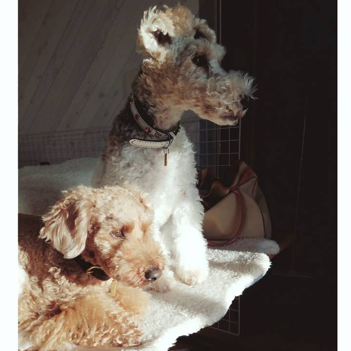 53bad675 b6c9 4047 80a9 a691933d15f8