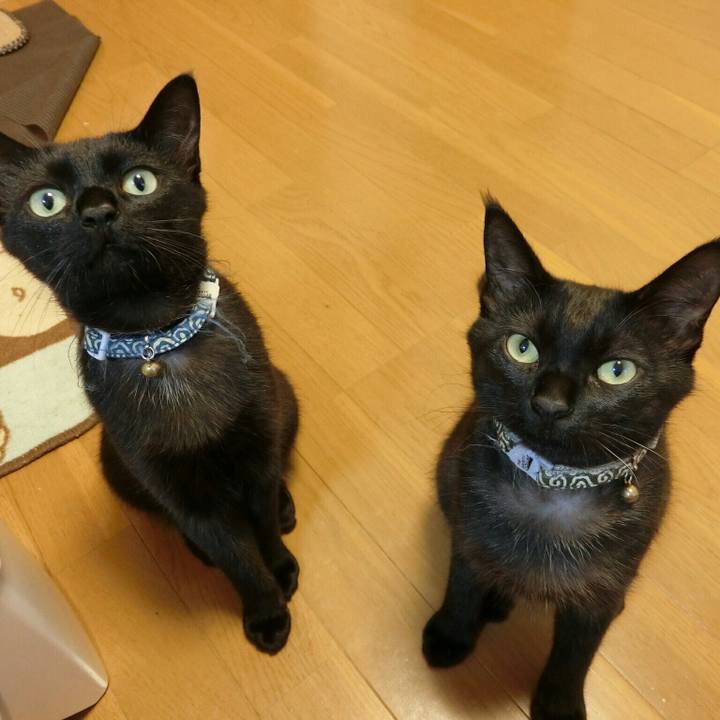 53baf12f b870 411d bb12 396c9da00010