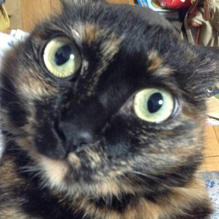 53bb2206 607c 427f 8766 f816ed37e62d