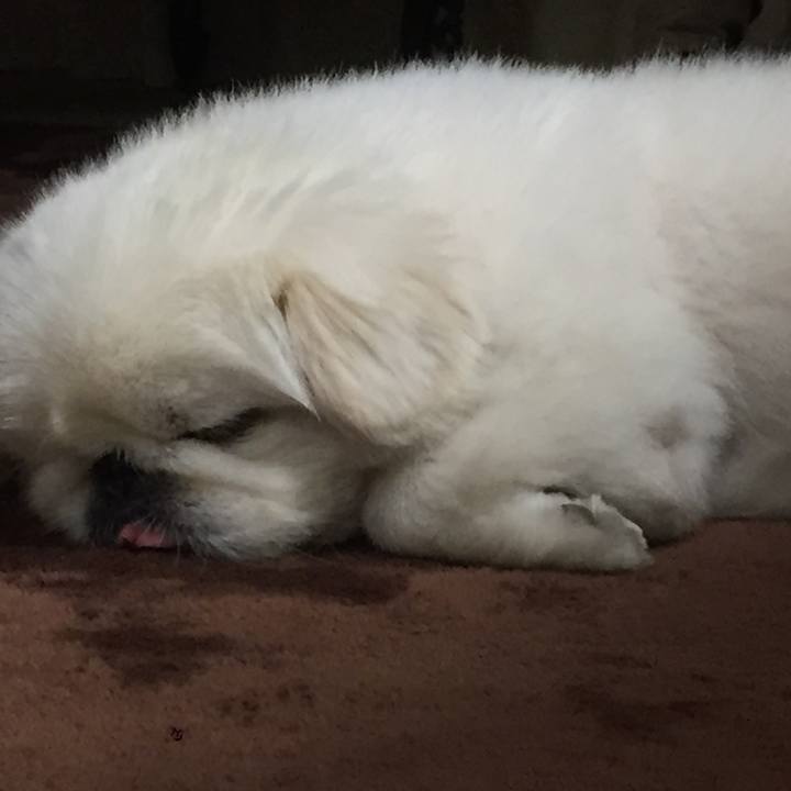 53bb33ce a3a5 4369 8efe 3d7c4a6fdd5f