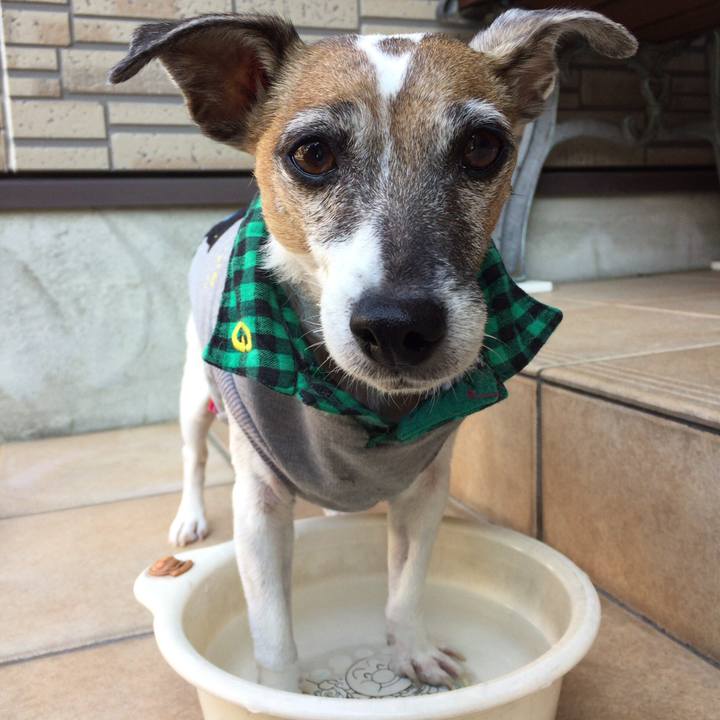 53bbc132 7c8e 4145 9682 24434b58cde1