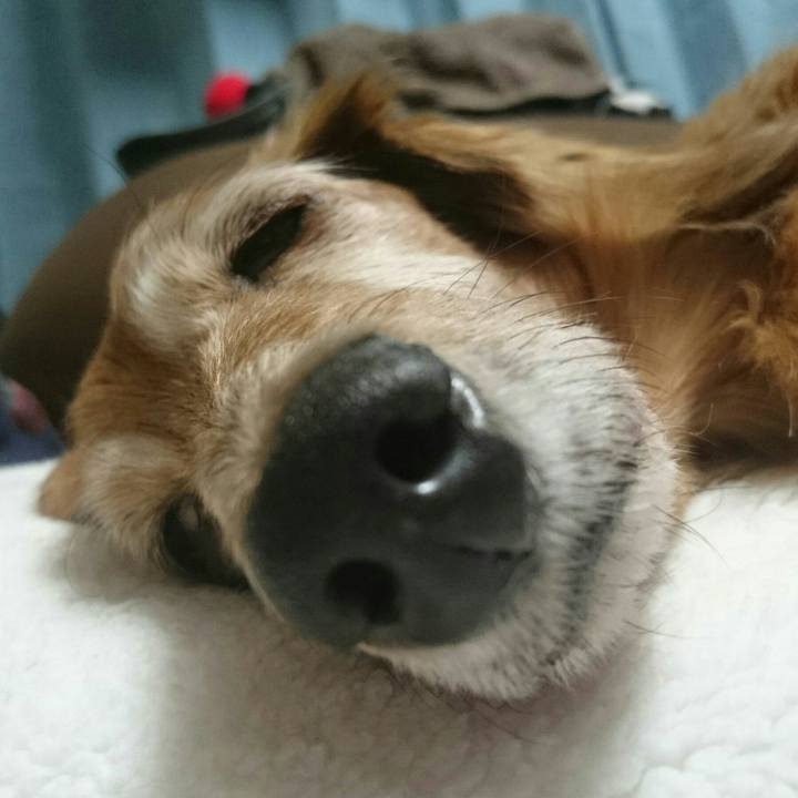 53bbcf56 4d72 4002 9434 2a38211e595c