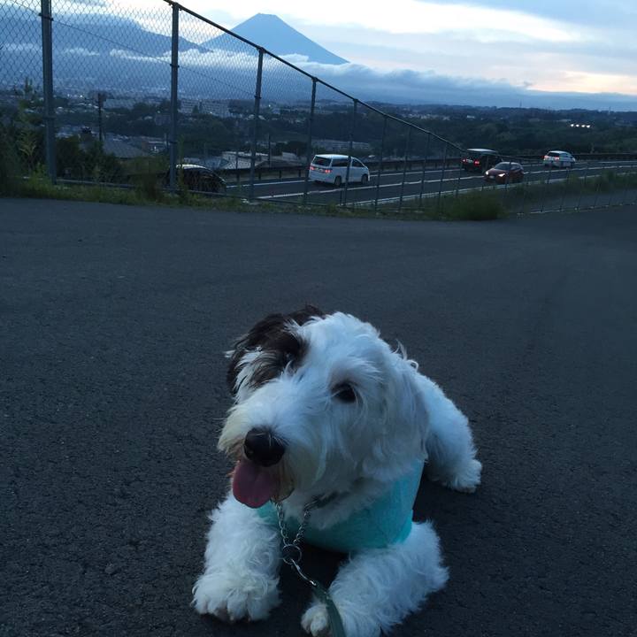 53bc4734 f8c1 4096 8fad 6dc2148cb6b6