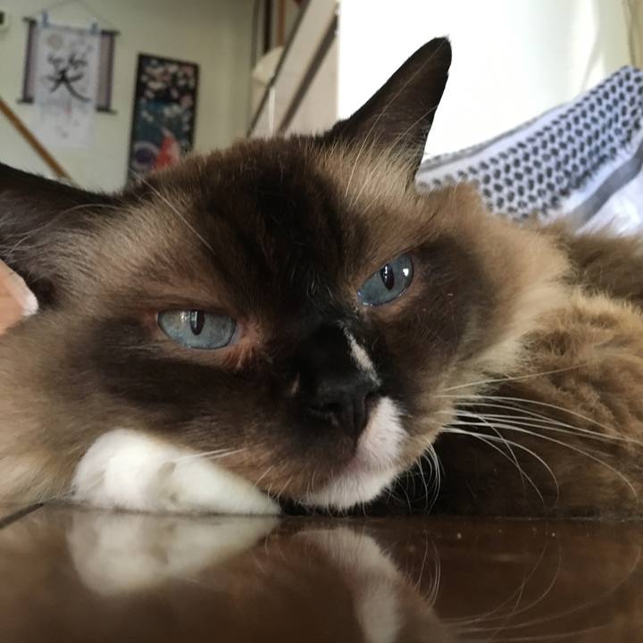 53bcc1b3 1620 4e03 84fc 826aef885e65