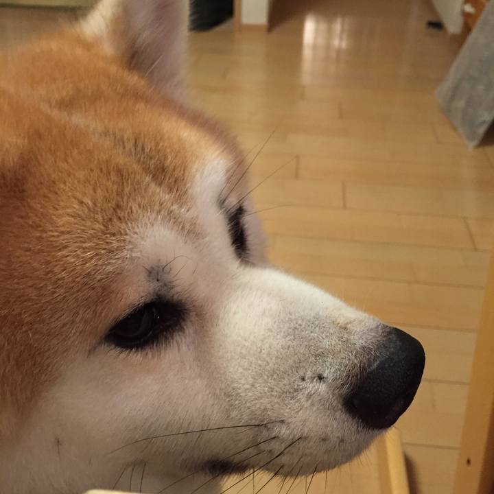 53bcfe99 1481 48d4 96f0 8cc81e73c1f7