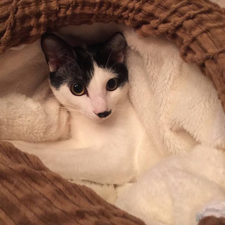 53bd1e31 a405 4397 804f 8cb8629620d6