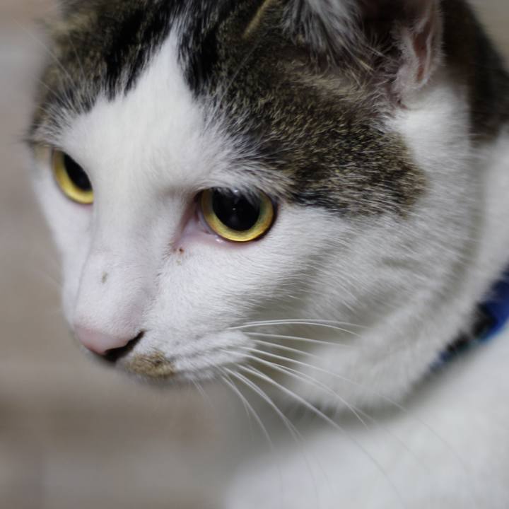 53bd670b 4756 411b 98c3 8c7ce44f7fe2