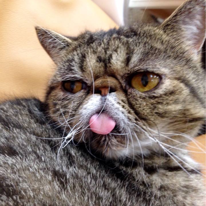 53bdb34e 0038 4919 8d8b ff7a0460d928