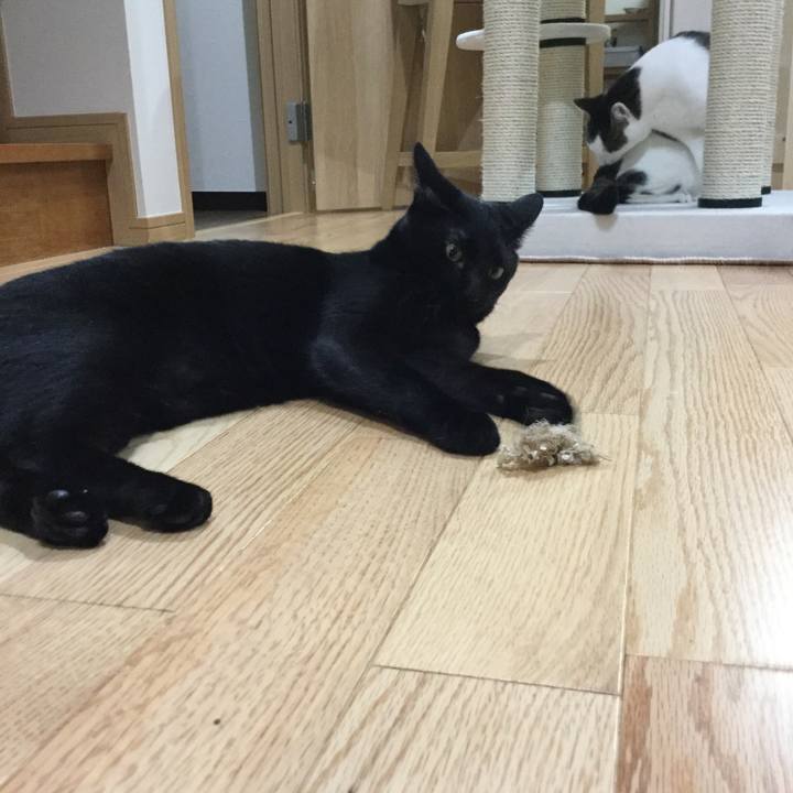 53bea420 0bda 4384 a654 7eea43bc30d1