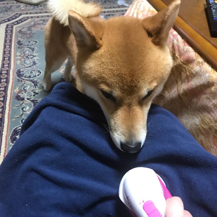 53bfc304 b7c1 48df bf90 d9fa1d5e4135